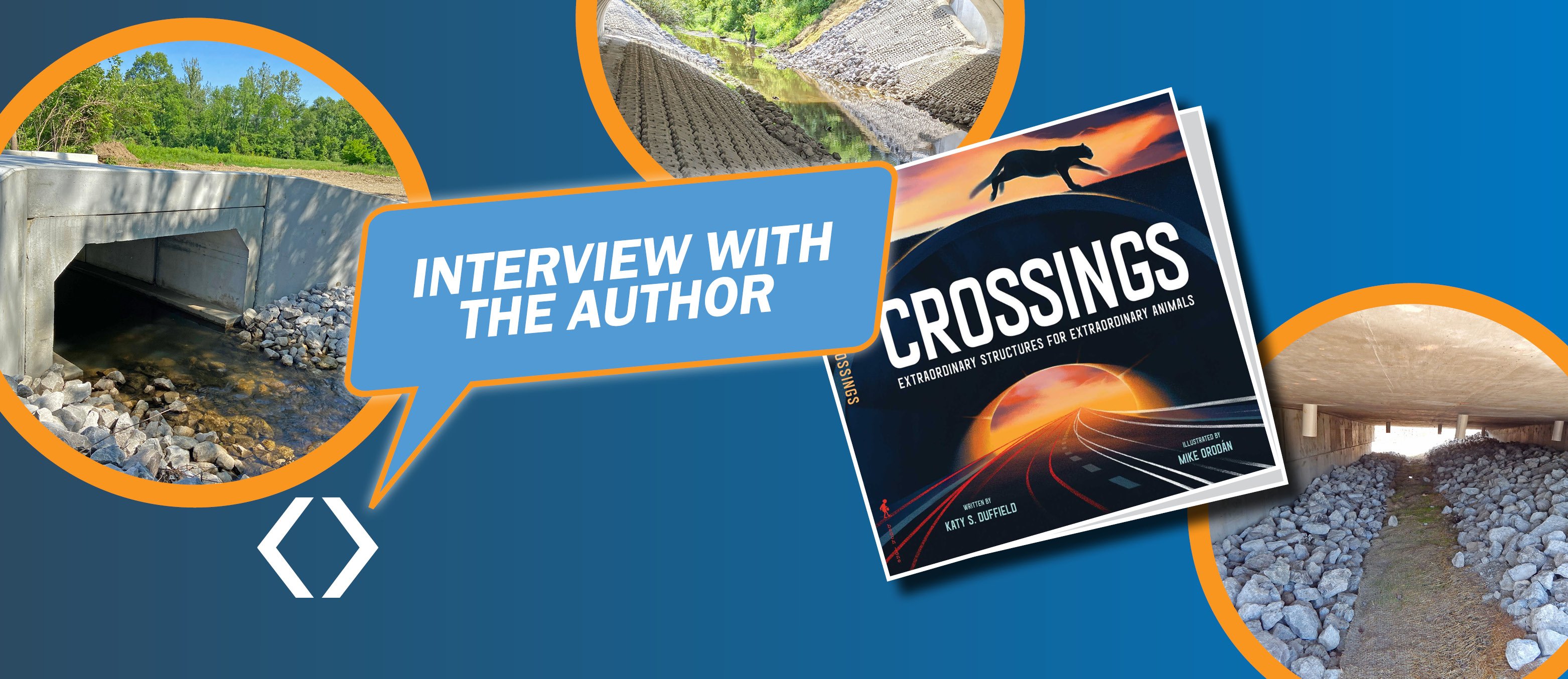 Interview with Katy Duffield: Author of Crossings